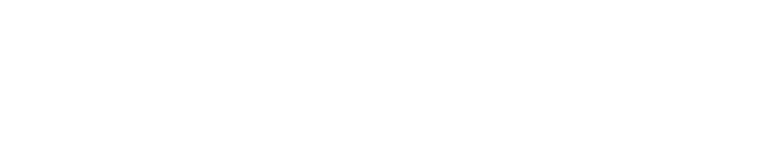 Bass Instinct Festival